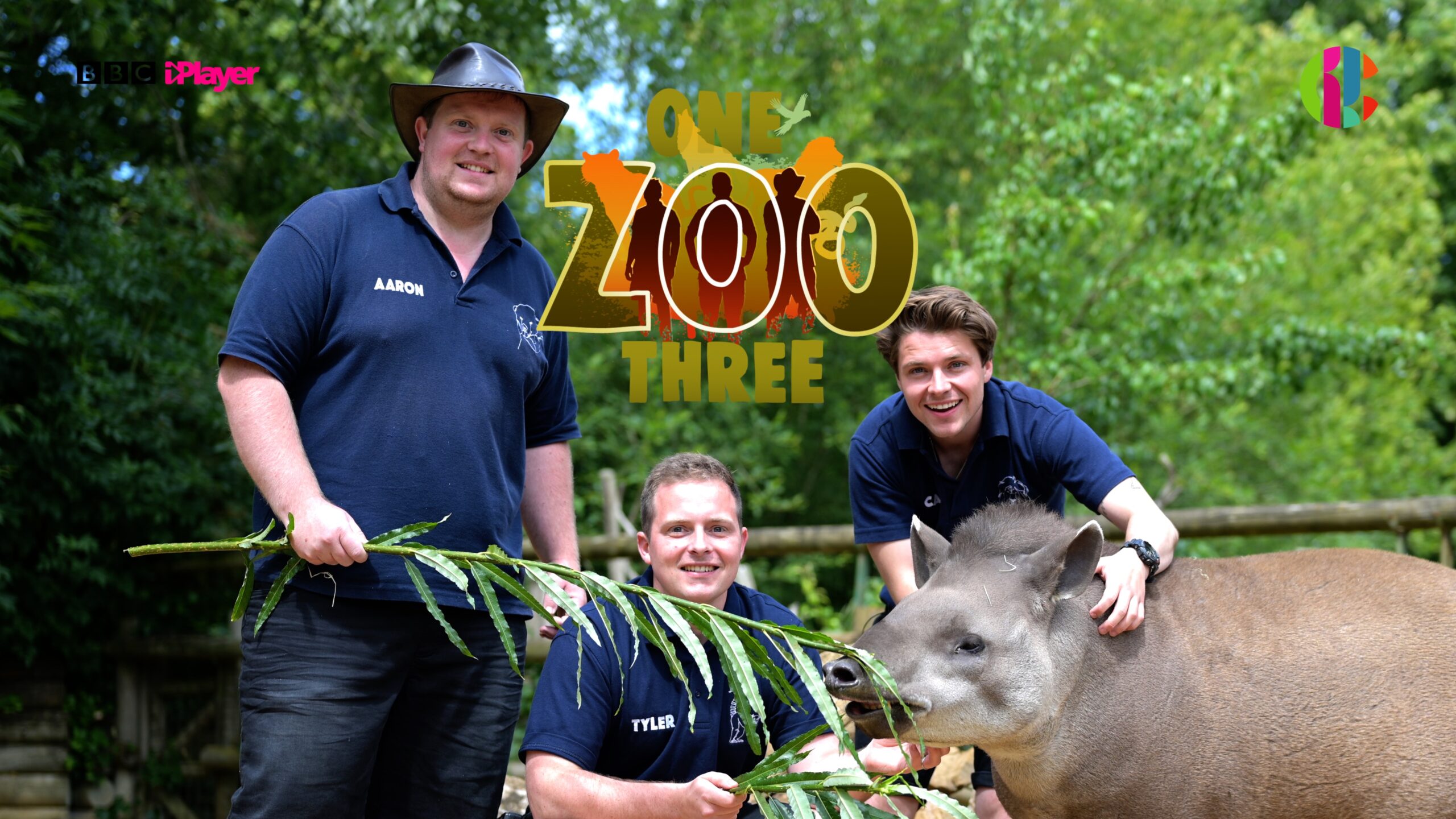 One Zoo Three is HERE! | Paradise Wildlife Park